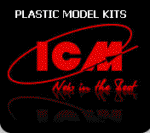 Icm