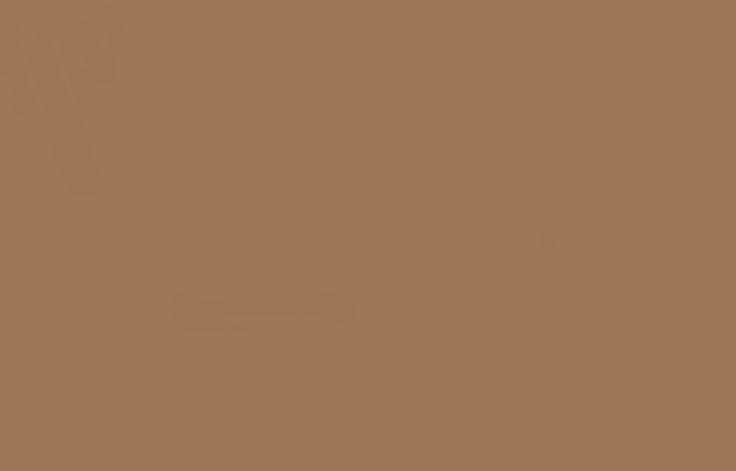 Italeri 4643 - Nocciola chiaro piatto 20ml